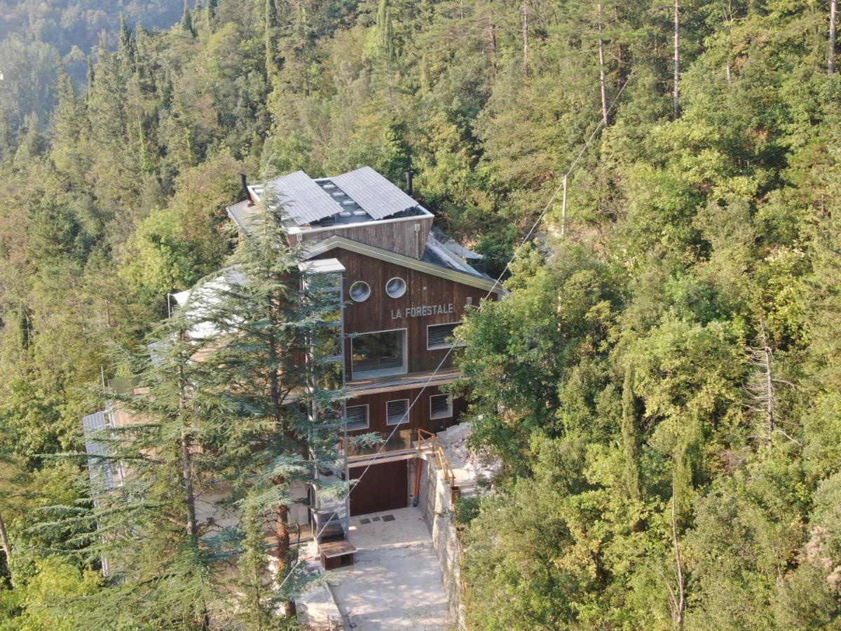 La Forestale Luxury Ecolodge B&B Primo Piano Acqualagna Exterior foto